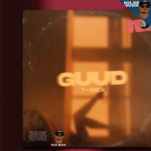 Toy Toy T-Rex – GUUD